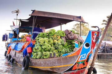 Mekong Delta Boat Ride and Coconut Village Tour from Ho Chi Minh City