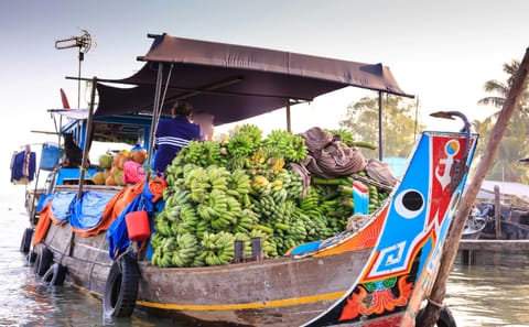 Mekong Delta Boat Ride and Coconut Village Tour from Ho Chi Minh City