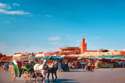 Marrakesh – Guided day trip from Taghazoute
