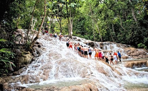 Dunn's River Falls Climb and Ocho Rios Shopping Tour from Falmouth