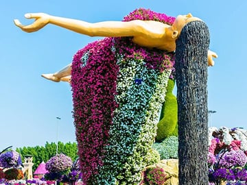 Miracle garden