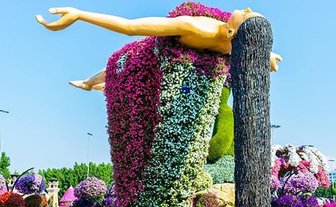 Dubai Miracle Garden Ticket with Dubai City Tour