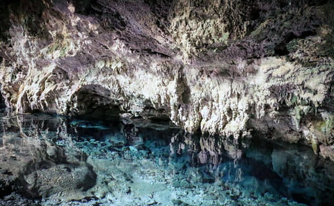 Jozani Forest, Kuza Cave and Blue Lagoon Tour