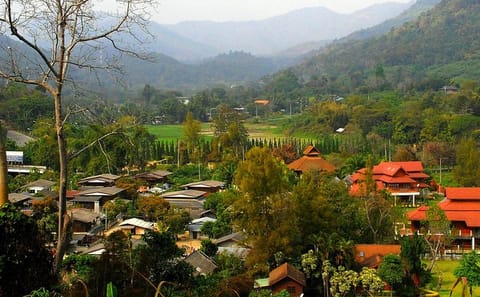 Cultural Tour and Cooking Class in Mae Kham Pong, Chiang Mai