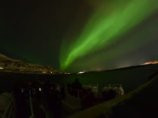 Reykjavík Northern Lights & City Cruise, photo 13