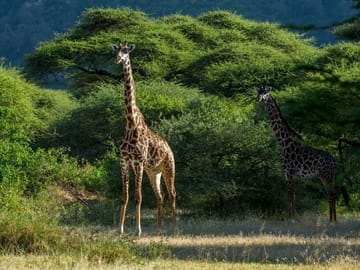 10-Day Exclusive Journey and Adventure in Tanzania