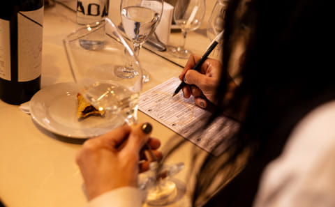 Wine Tasting and Tapas Pairing in Buenos Aires