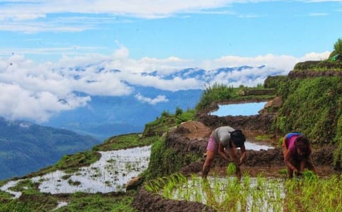3-Day Cultural Homestay Tour in Ghale Gaun from Kathmandu