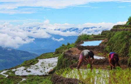 3-Day Cultural Homestay Tour in Ghale Gaun from Kathmandu