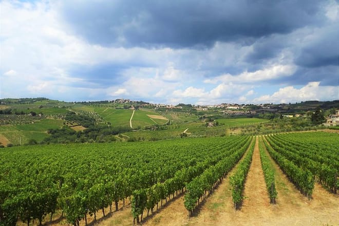 Safari in Chianti Open Top Van and Tasting Wine 3