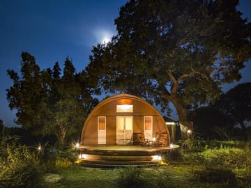Private Leopard Nest Luxury Glamping Experience at Yala