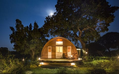 Private Leopard Nest Luxury Glamping Experience at Yala