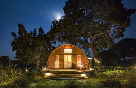 Private Leopard Nest Luxury Glamping Experience at Yala