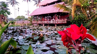 Eat Pray Love in Bali 3