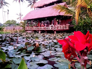 Wellness and Cultural Tour in Ubud, Bali