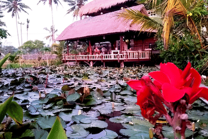 Eat Pray Love in Bali