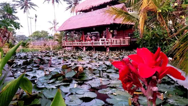 Eat Pray Love in Bali 3