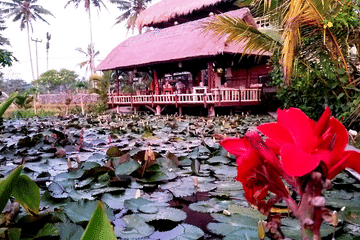 Wellness and Cultural Tour in Ubud, Bali