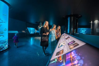 The View at The Palm Experience with Dining option