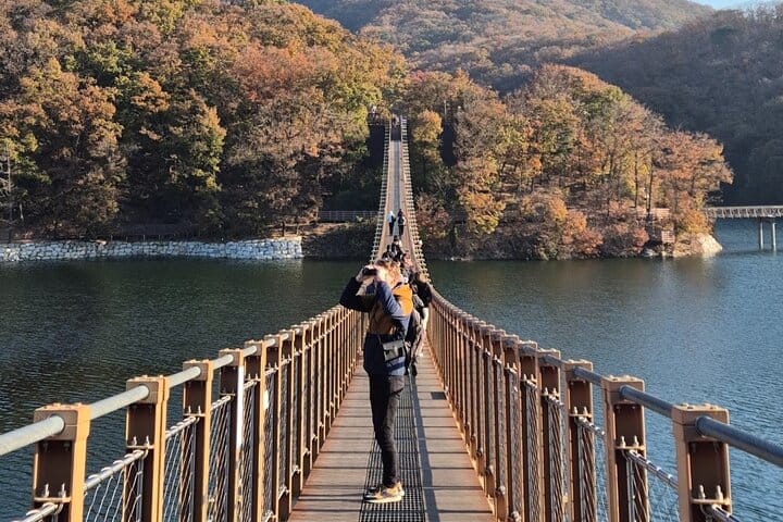 Korea DMZ Tour (North Korean Meet up&Suspension Bridge optional)