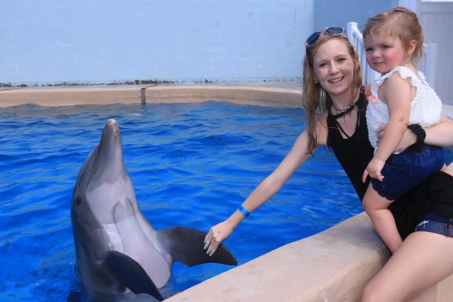 Dolphin Meet N Greet at Gulf World Marine Park photo 2