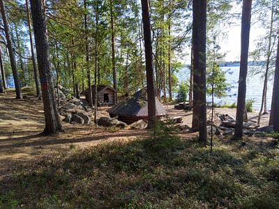 Nature safari Finland Oy Kohtaa villi luonto Leivonmäen kansallispuistossa Jyväskylä