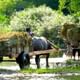 Amazing Pu Luong Nature Reserve 2 Days Tour from Hanoi - All included