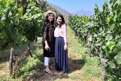 Horseback riding and wines from Santiago