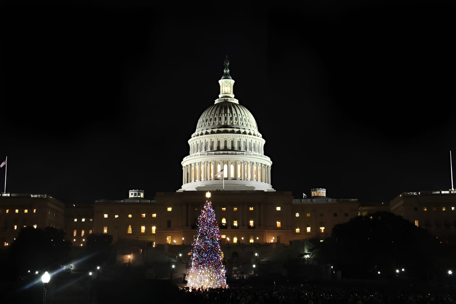 Washington DC Night Memorials Walking Tour with Skyline View photo 6