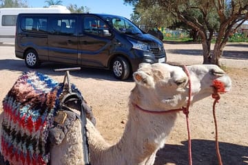 Private Day Trip from Fes to Ifrane and Middle Atlas
