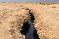 Ras Mohamed National Park Half Day Tour by Bus In Sharm El Sheikh 7