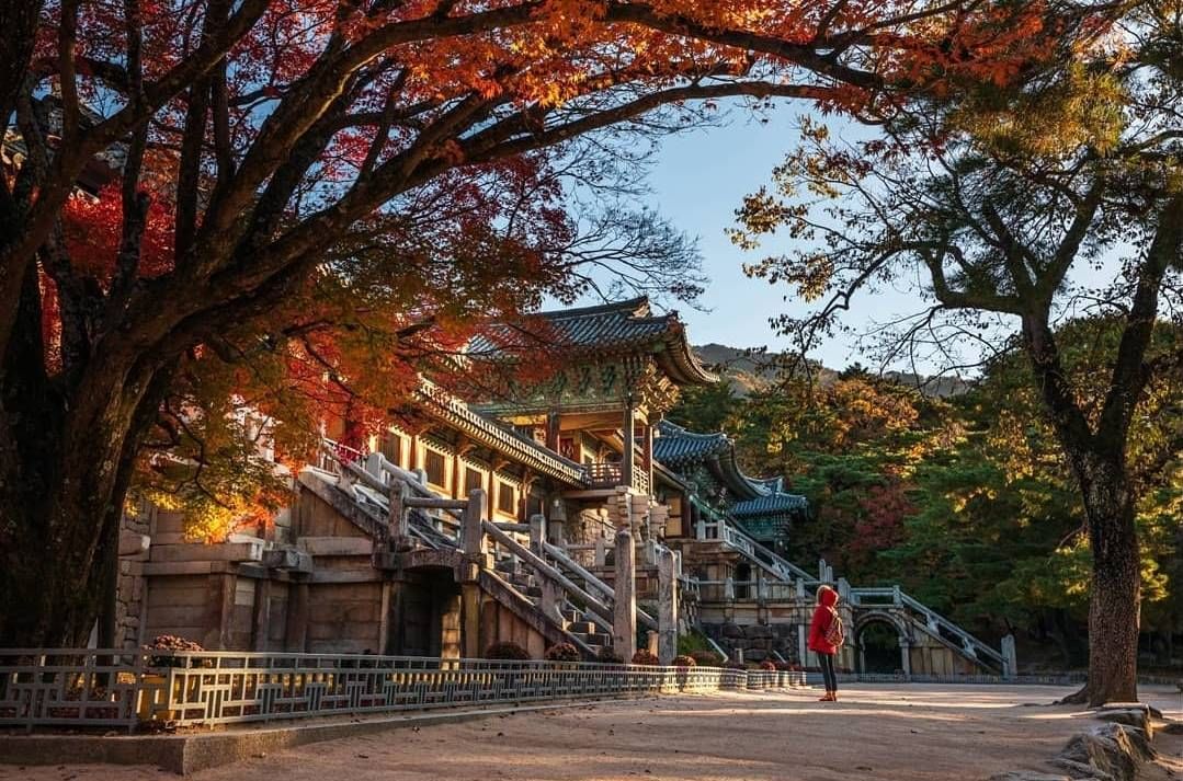 Visitors walking near stone bridges and temple halls at Bulguksa Temple.