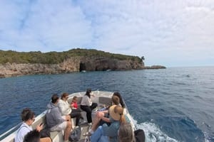 Speed Boat Trip: Kotor Bay attraction , Blue Cave and beach time 