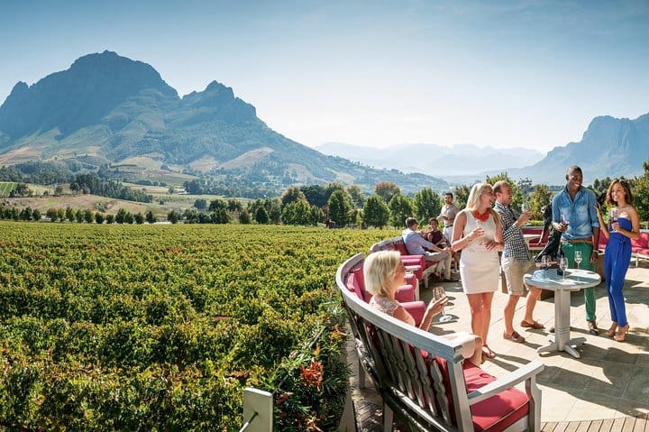 Stellenbosch, Paarl & Franschhoek Private Full Day Wine Tour