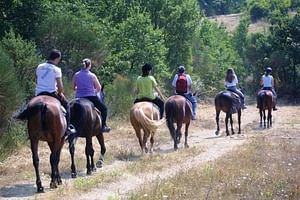 Tuscan Hills Horseback Riding Tour from Siena
