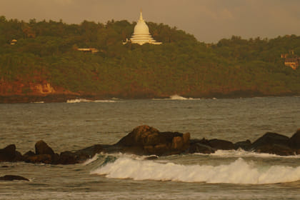 Bat Watching & Cinnamon experience -Koggala