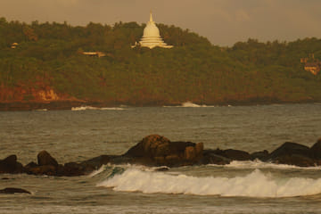 Boat Safari for Bat Watching and Cinnamon in Koggala