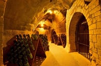 Travel in a hot air balloon and  good wine in Casablanca valley 10
