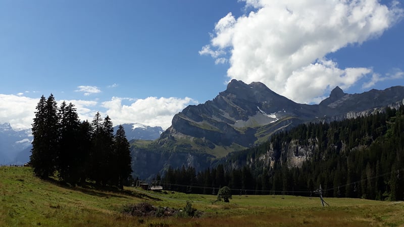 Os picos sobre a floresta, perto de Braunwald.