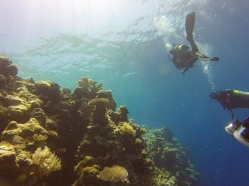 Scuba Diving Adventure in Kalkudah, Sri Lanka