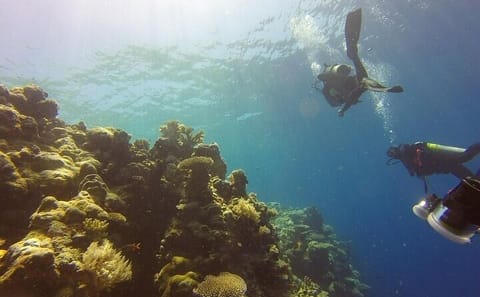 Scuba Diving Adventure in Kalkudah, Sri Lanka