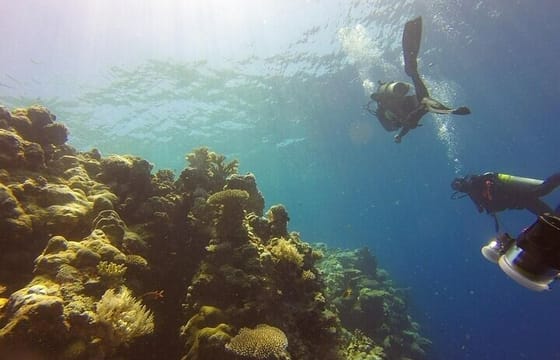Scuba Diving in Pasikudah