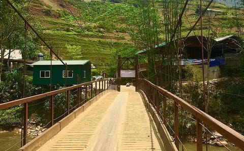 Private Trekking Experience to Hidden Bamboo Forest in SAPA