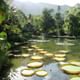 The Botanical Garden