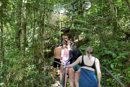 T2C-Into the rainforest: Discover a Belize waterfall