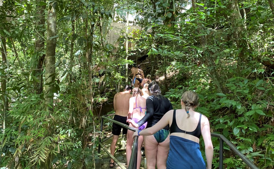 Rainforest Tour to a Waterfall in Belize's Cayo District
