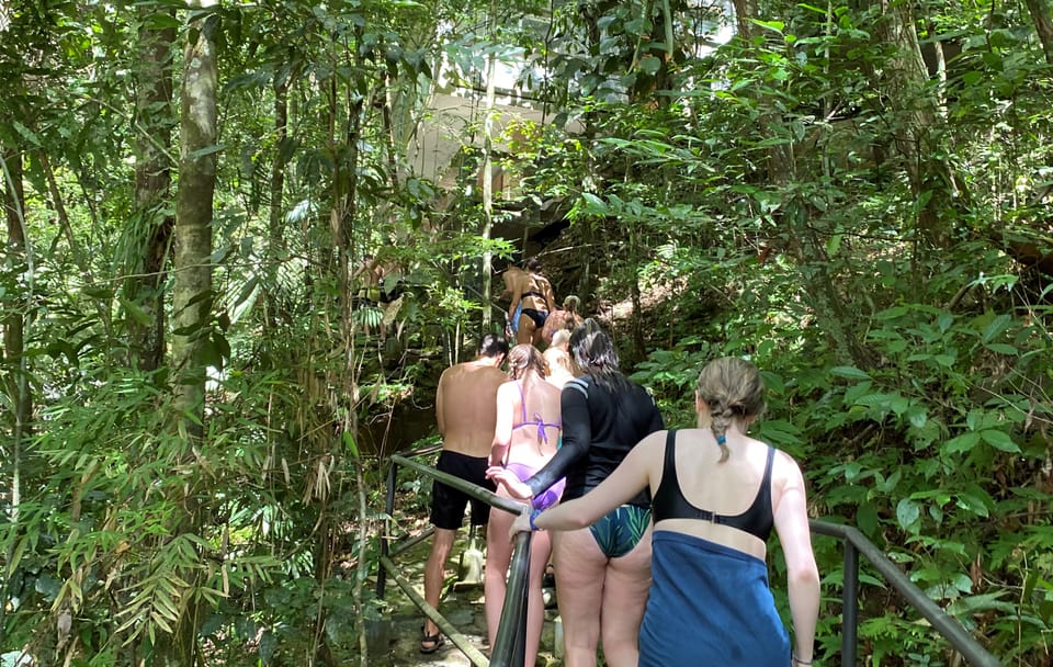 Rainforest Tour to a Waterfall in Belize's Cayo District