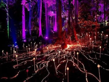 Legends of Langkawi – The Dream Forest Night Walk