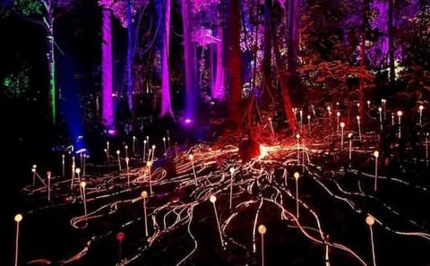 Legends of Langkawi – The Dream Forest Night Walk