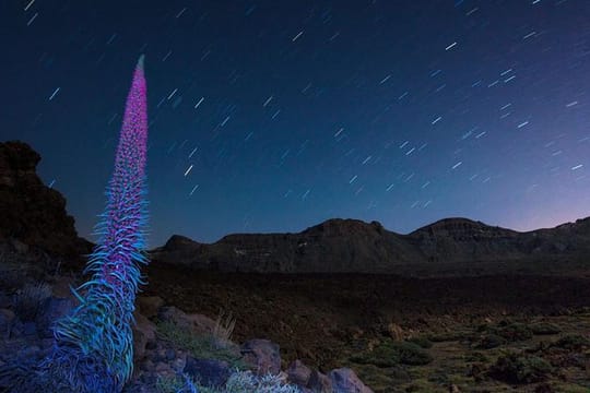 Teide under the stars: Stargazing, Dinner and Hotel Pick up